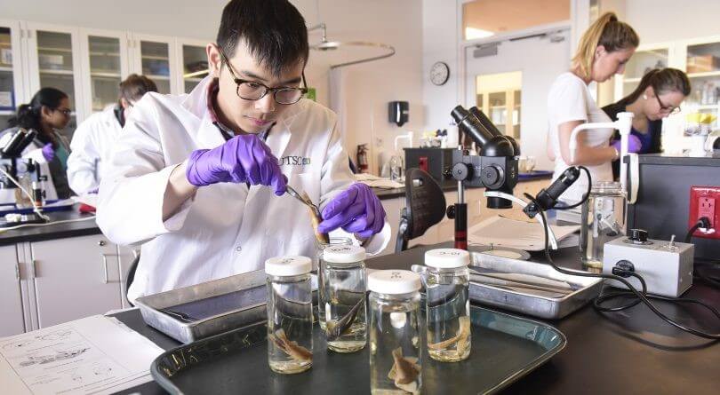 کیفیت تحصیلی دانشگاه تورنتو