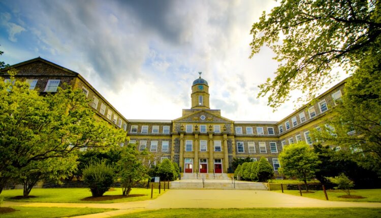 دانشگاه Dalhousie university