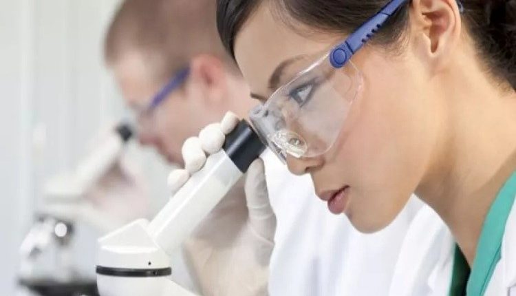 خلاصه یافتن شغل به‌عنوان یک پزشک خارجی در آلمان