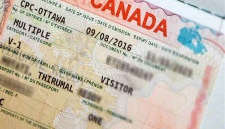 چه کسانی باید برای ویزای تحصیلی کانادا اقدام کنند؟