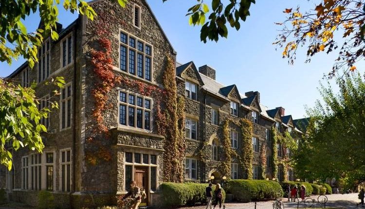 برنامه‌های تحصیلی کالج بارد برلین